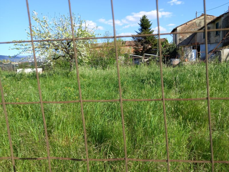RUSTICO